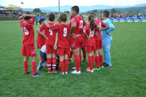 sfaturi-2004-primavera